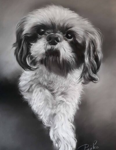 Черно-бял портрет кученце