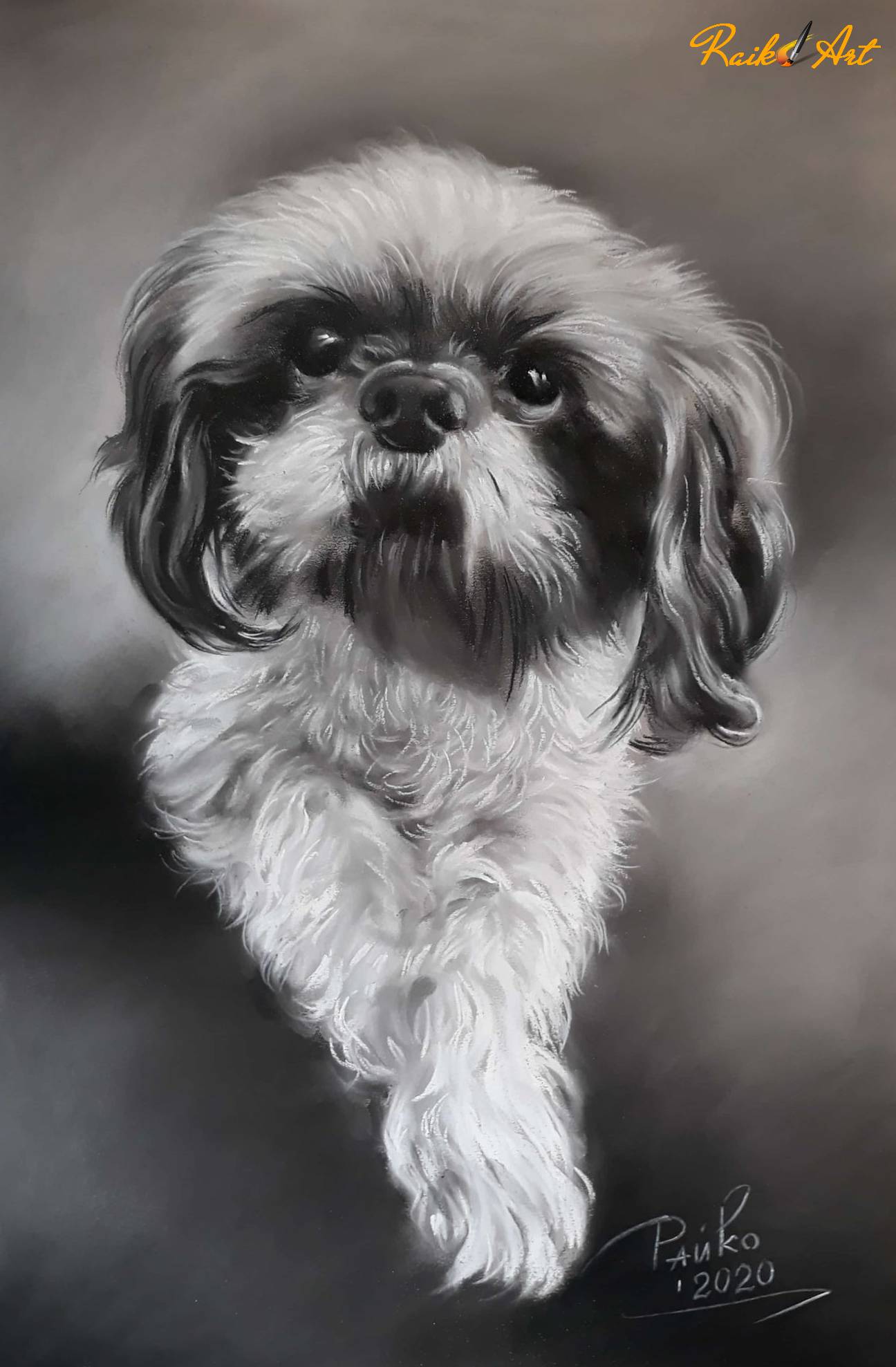 Черно-бял портрет кученце